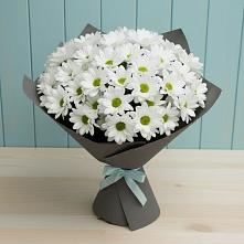 Букет цветов из:  Хризантемы #REPLACE_PRED# Часовне